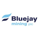 Blue Jay Gold logo